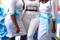 NEW PAMPERS PREMIUM CARE LAUNCH 2019